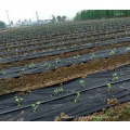 Hot Selling Agriculture Pp Plastic Weedmat Landscape Fabric